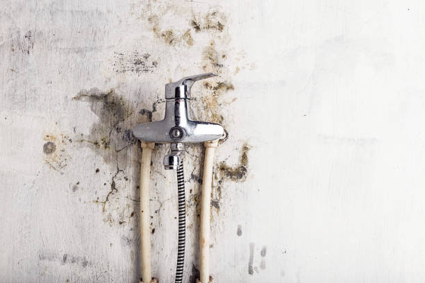 Best Water Damage Restoration  in Hwatha, IA