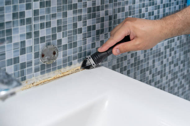 Trusted Hiawatha, IA Mold Removal Experts