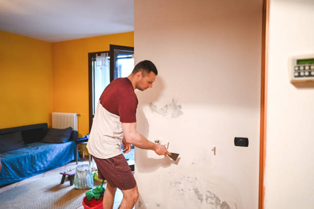 Best Emergency Mold Removal  in Hwatha, IA